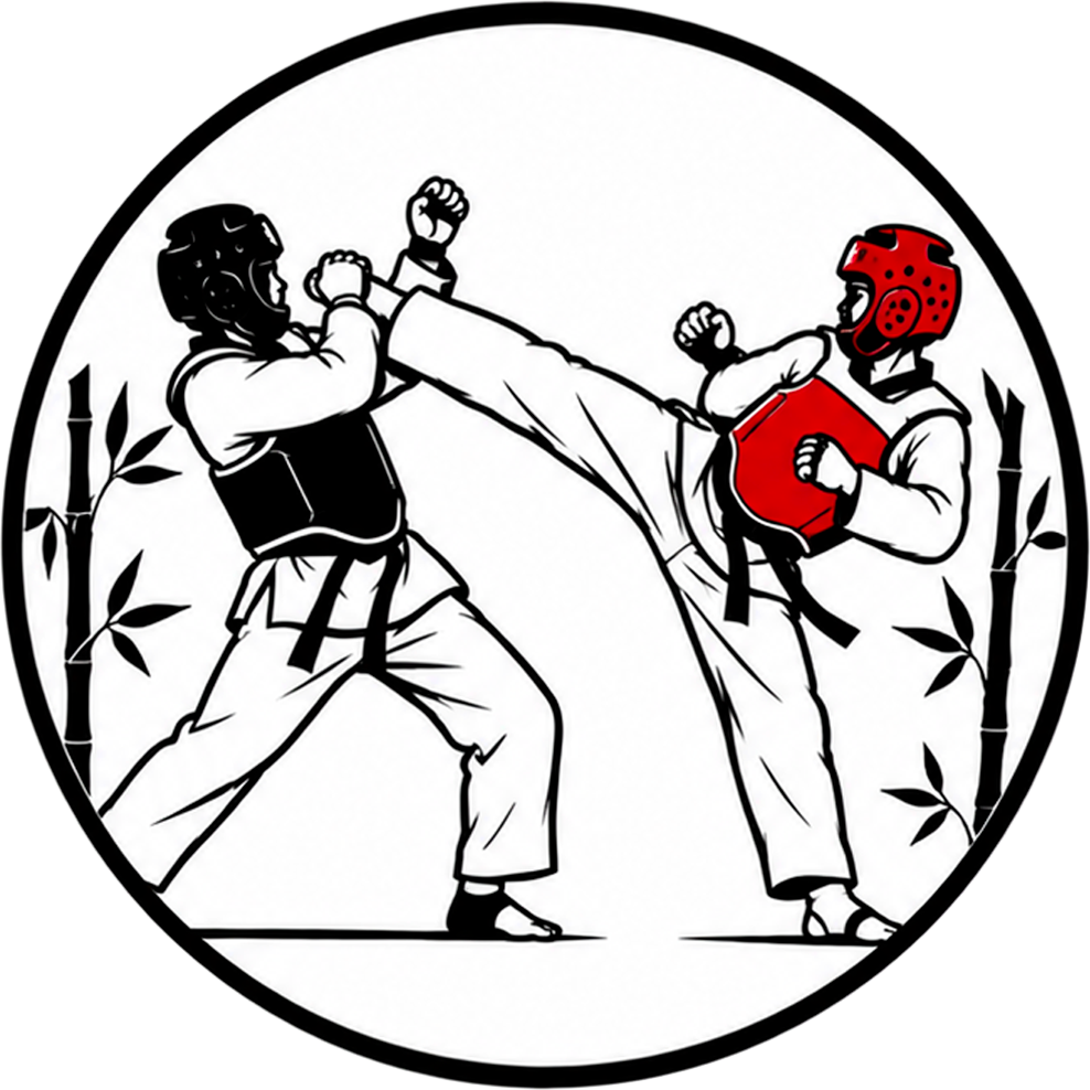 Cours de taekwondo ados et adultes